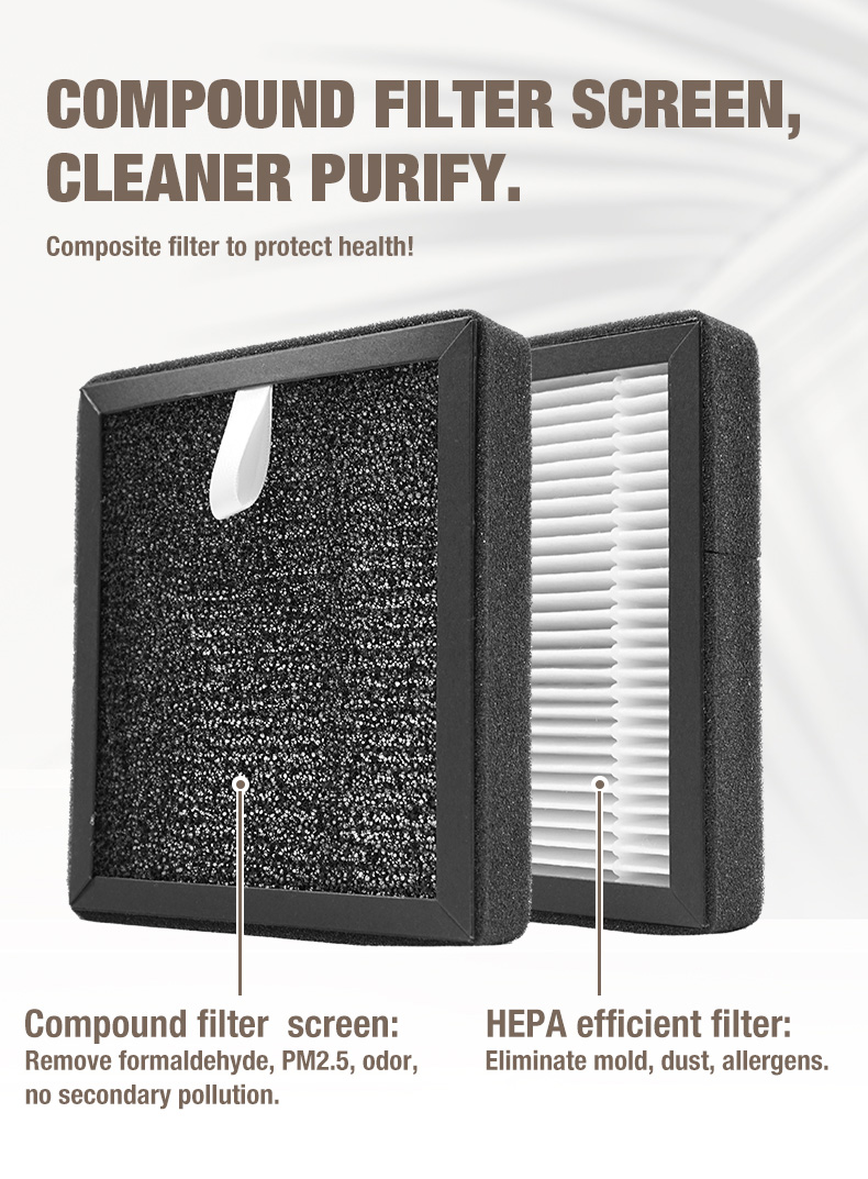 Olansi A1空気清浄機サプライヤー（11）