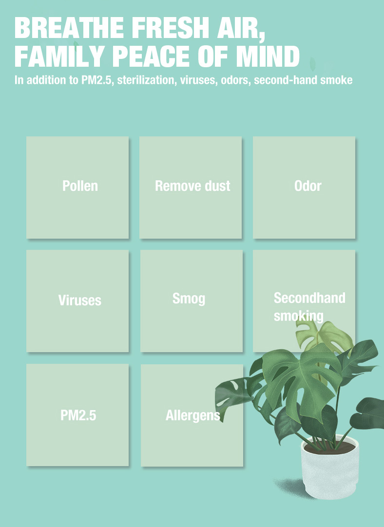 Olansi A4 Proデスクトップ空気清浄機（3）