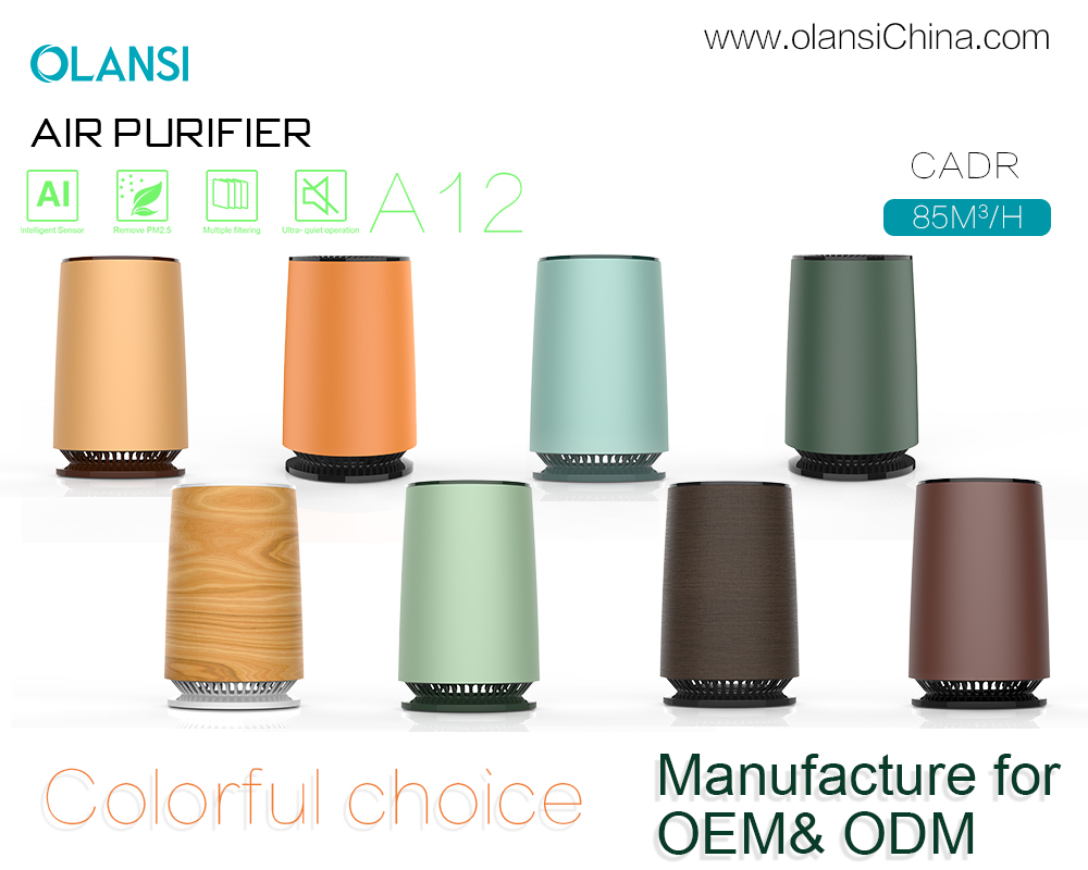 オランシ空気清浄機サプライヤー（15）