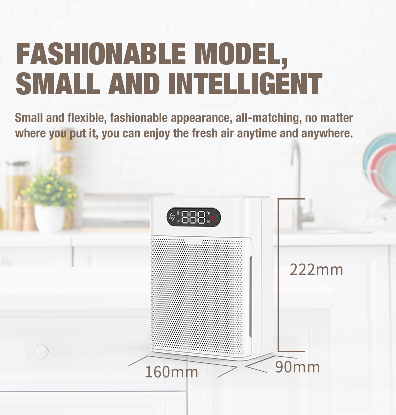 Olansi A1空気清浄機サプライヤー（3）