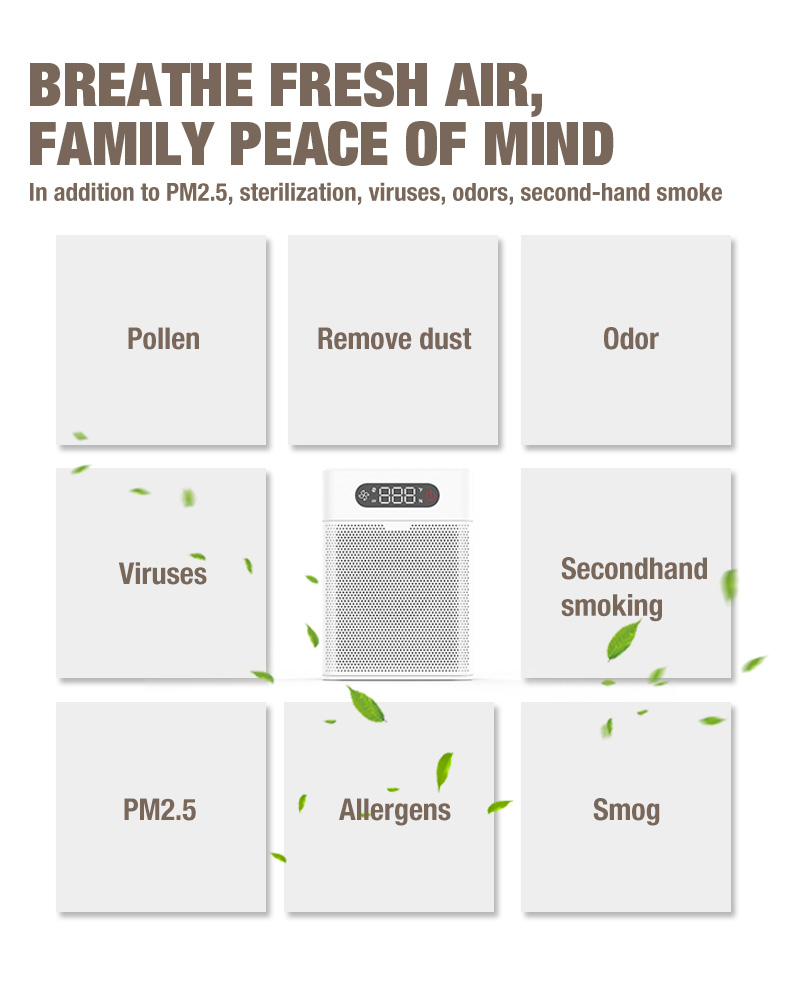 Olansi A1空気清浄機サプライヤー（6）